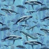 ttMICHAEL-CD4287 OCEAN